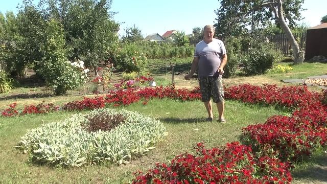 Дачные советы Галины Старосельцевой Март 16-2023 смотреть онлайн