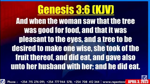 03.04.2023 ПРЯМОЙ ЭФИР ВСЕМИРНОГО БОГОСЛУЖЕНИЯ смотреть онлайн