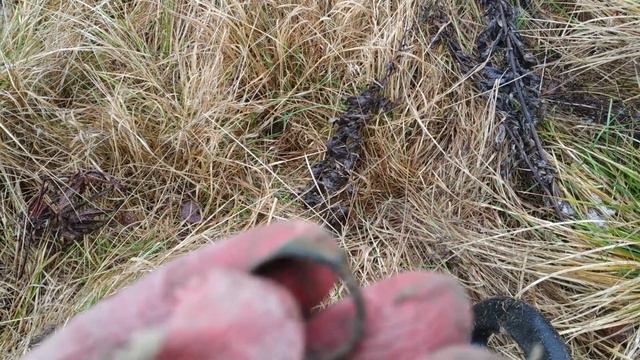 Потерял дар речи, на меня смотрел портрет. смотреть онлайн