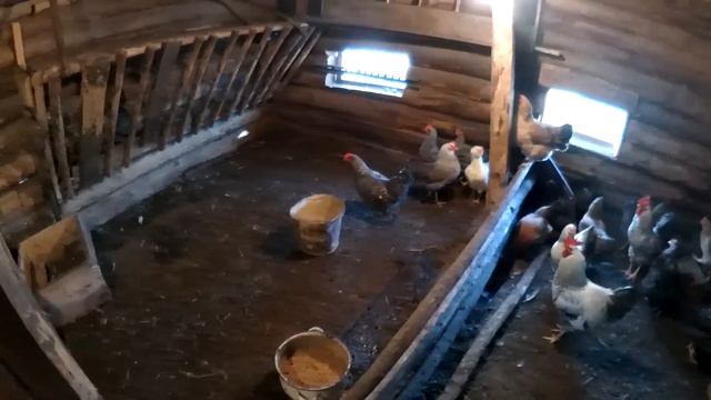 18 ноября обзорчик смотреть онлайн