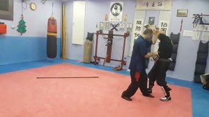 Принцип бросков в вин чун ( на русском языке )