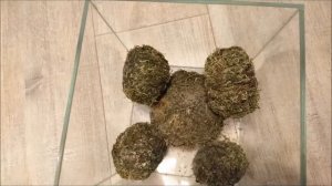 Как я делаю вабикУсы
