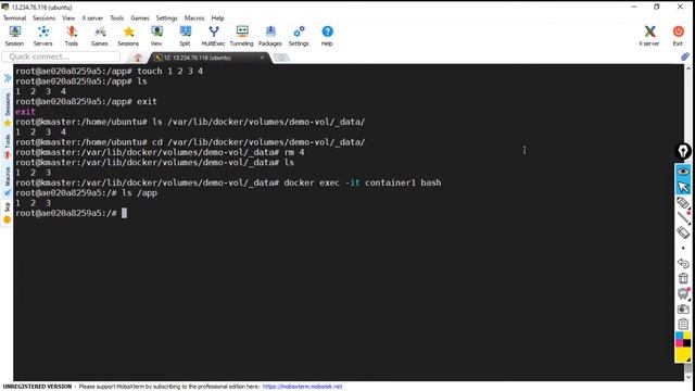 Docker Volumes and Storage Explained in 60 Minutes | OdinSchool
