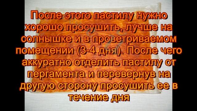 Пастила из абрикосов вкуснятина объедение рецепт 2020