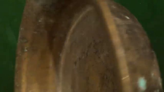 БРОНЗОВЫЙ ТАЗ ИЛИ ВСЕ НАКРЫЛОСЬ МЕДНЫМ ТАЗОМ смотреть онлайн