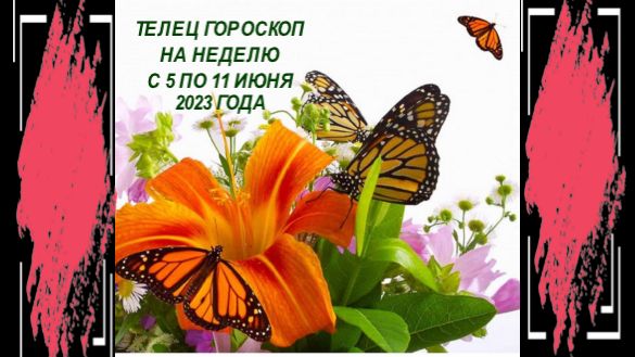 ТЕЛЕЦ ГОРОСКОП НА НЕДЕЛЮ С 5 ПО 11 ИЮНЯ 2023 ГОДА