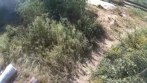 Гидроизоляция столбов для теплицы 2. Стрейч плёнка