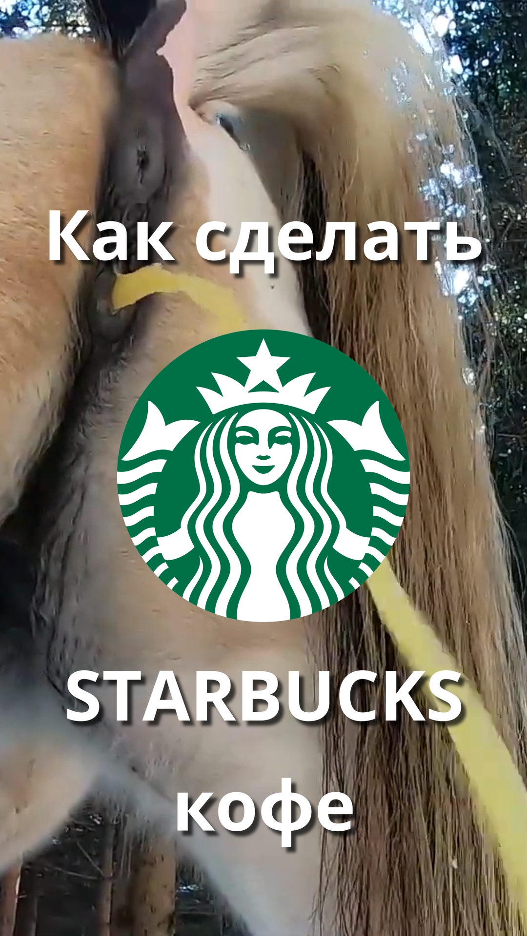 Как сделать Starbucks кофе быстро и просто
