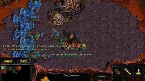 Zerg-Random Colo2 mensol kr(B)