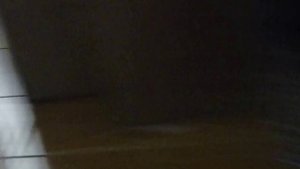 Как пьяные девки гуляют в клубах