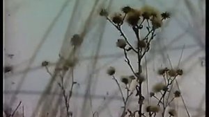 Айдар Галимов - Уфа тараклары