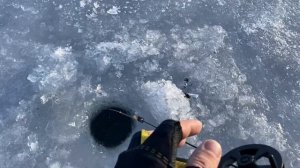 РЫБАЛКА НА БЕЗМОТЫЛКУ. ЭТА БЕЗМОТЫЛКА РАБОТАЕТ ВЕЗДЕ. ВОТ ЭТО РЫБАЛКА.