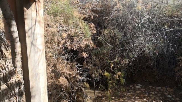 Пещера прп. Марии Египетской смотреть онлайн