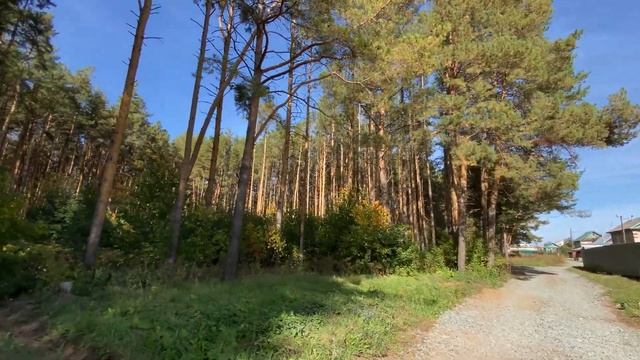 город Ижевск улица Оружейная 20 09 2023г. смотреть онлайн