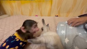 НАШЛА ВИДЕО как маленькие Стёпа, Маня и Басик укладывают Влада спать)))