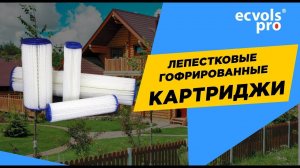 Лепестковые гофрированные картриджи для механической очистки