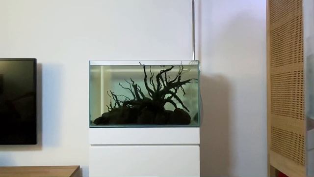 How To Create An Island Style Aquascape