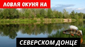 Ловля окуня на Северском Донце | С ультралайтом по новым местам