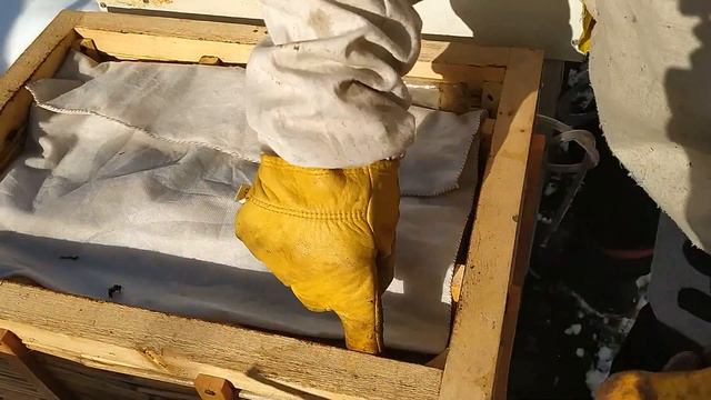 Осмотр после крещенских морозов смотреть онлайн