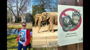 Зоопарк ZOOOO WILLKOMMEN в Берлине