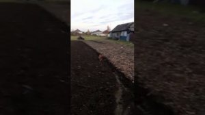 Вспашка, мотоблок с адаптером!!!