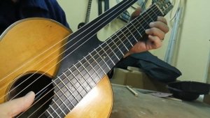 Друхгрифовая семиструнная гитара мастера Архузена1904 г играет Gurano Orvat