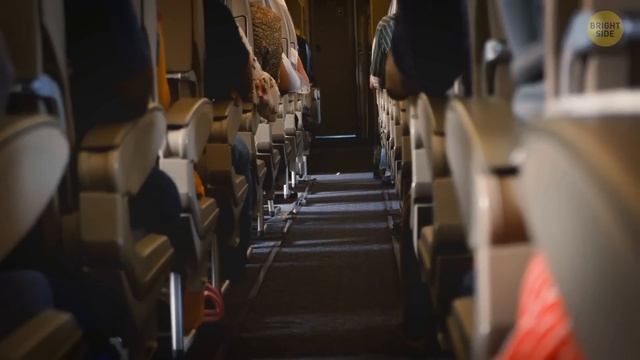 Common Space Myths Debunked by Actual Astronauts смотреть онлайн