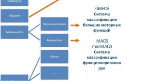 Классификации функционирования при ДЦП: что это и зачем они нужны?