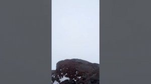 А за окном, бушует месяц май