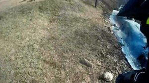 Лесные покатушки по грязи  часть 1/2|| Panther 250, Regulmoto sport 006, Alfa Racer 49cc,