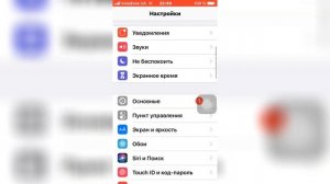 Как включить сенсорную кнопку на iPhone