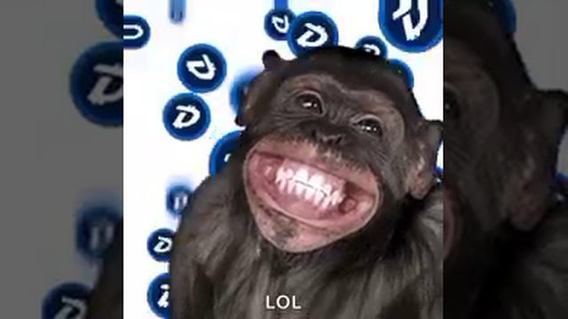 обезьяна