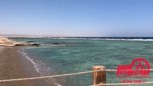 Albatros Sea World Marsa Alam 5* Египет, Марса-Алам, Обзор отеля. 2022