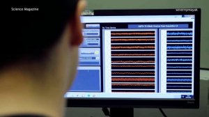 Этот портативный сканер позволяет исследовать мозг, даже когда человек ходит