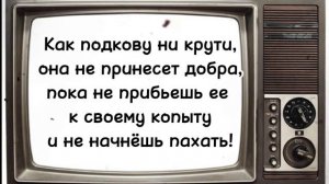 Смешно о работе. Короткие цитаты, фразы, афоризмы.