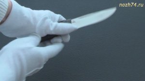 Нож Куница-2 (Наборная кожа, 95Х18) - nozh74.ru