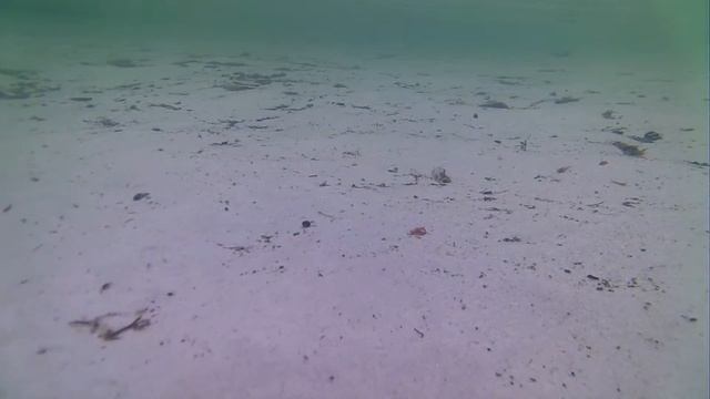 Южа_Записки Путешественника - оз. Западное (Full HD) смотреть онлайн