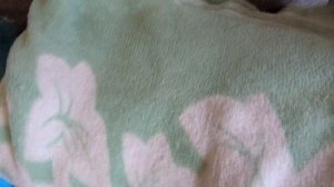 РАСХЛАМЛЕНИЕ 465 ВЕЩЕЙ ЗА 30 ДНЕЙ| 24, 25, 26, 27 ДНИ| ИЗБАВЛЯЮСЬ ОТ ЛИШНИХ ВЕЩЕЙ ЗА 30 ДНЕЙ