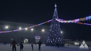 Большая уличная Ель. Ёлкин Дом | Big outdoor Christmas tree. Elkin Dom