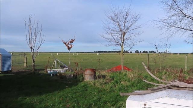 Canon SX740 HS Unboxing / Review смотреть онлайн