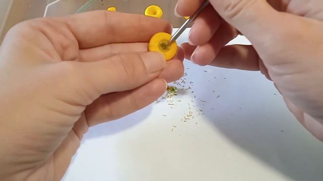 Серединки ромашек. Делаем молд из полимерной глины. смотреть онлайн
