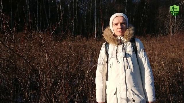 Пошли смотреть рейнутрию -- нашли борщевик! смотреть онлайн