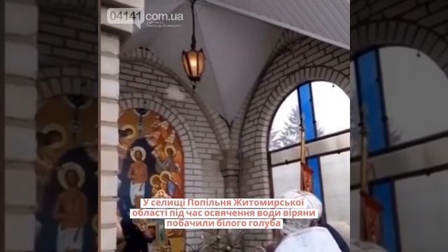 На Житомирщині під час освячення води прилетів білий голуб. ВІДЕО смотреть онлайн