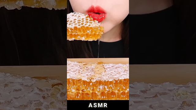 ASMR #2534