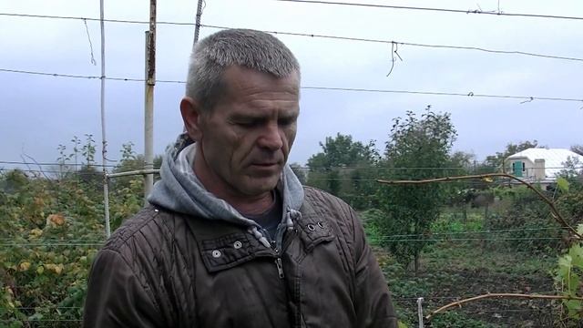 Где лучше выращивать инжир.
