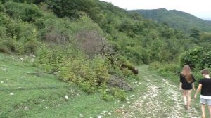 Абхазия, Гудаута. Верхняя Мцара.