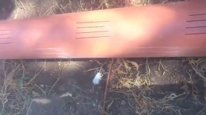 Щелевой фильтр