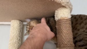 ? Красота на льду!!! ? Аквапарк!!!!!?Баня и бассейн! Фигурное катание! Miroslava Lebedeva! 6 лет!