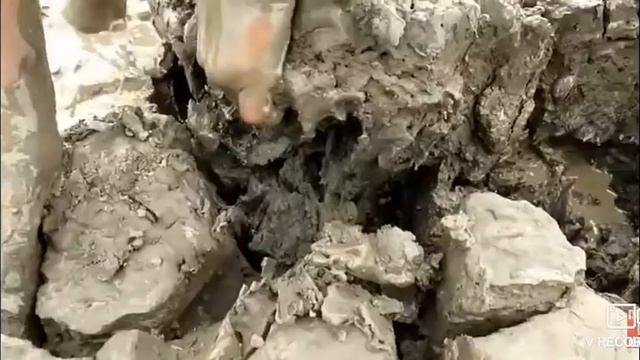 Мальчик поймал огромную рыбу???? смотреть онлайн