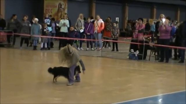 Начальная школа Соколова и А За За смотреть онлайн